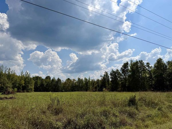 3592 ROSE CREEK RD, Selmer, TN 38375