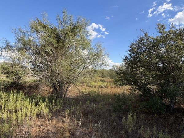 TRACT #4 Elm Creek Rd, Seguin, TX 78155