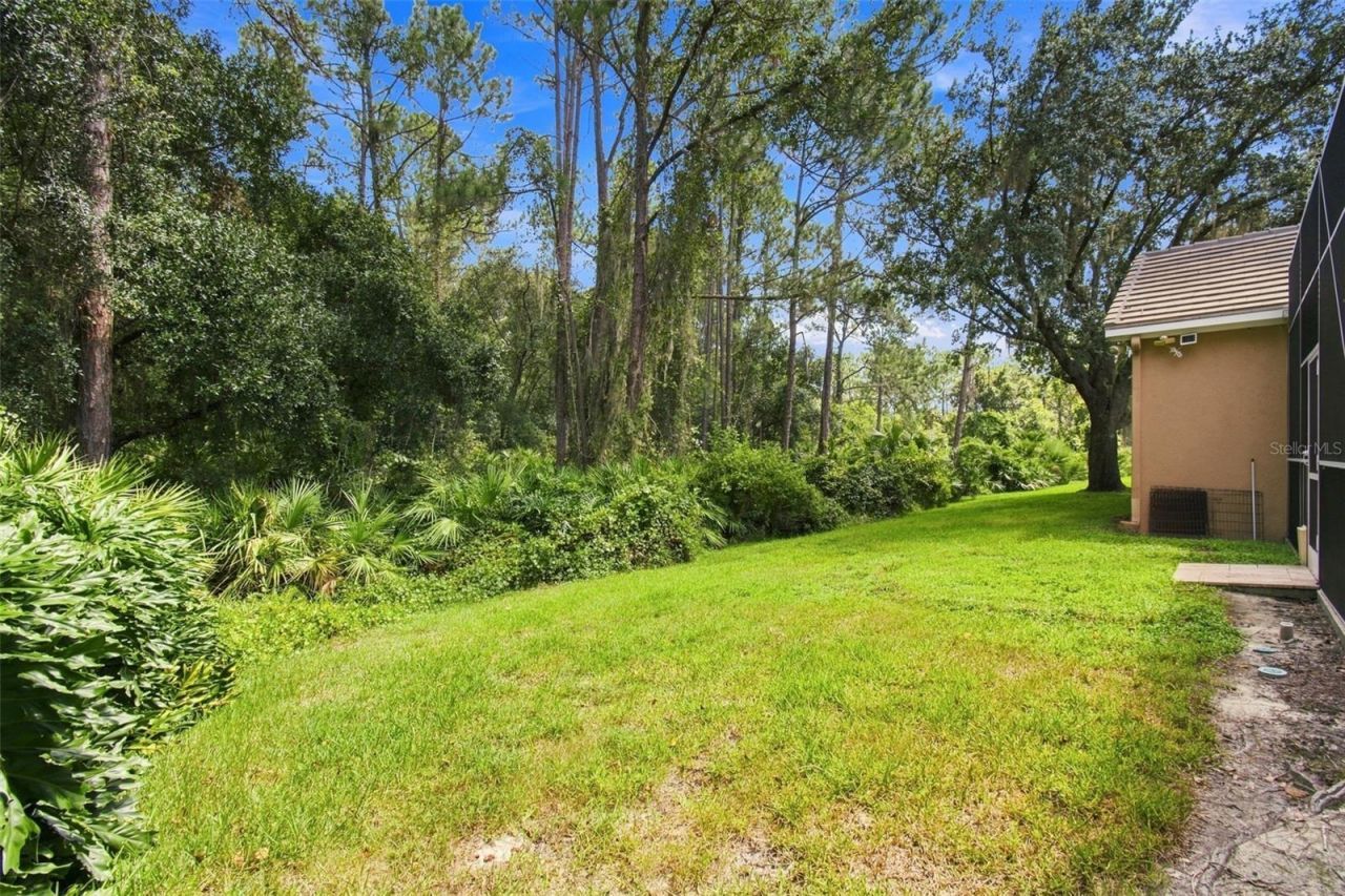 9212 Pine Island Court, Tampa, FL 33647 Photo
