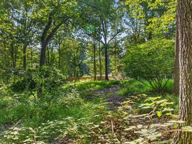 360 SWIFT RUN RD, Ruckersville, VA 22968