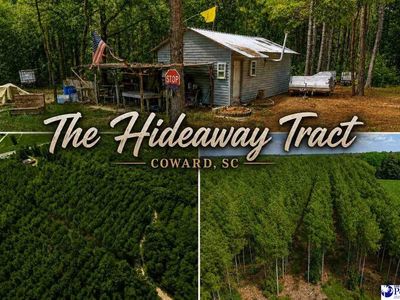 TBD Gause Canal Rd, Coward, SC 29530
