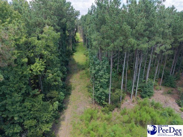 Tbd Gause Canal Rd Photo 17