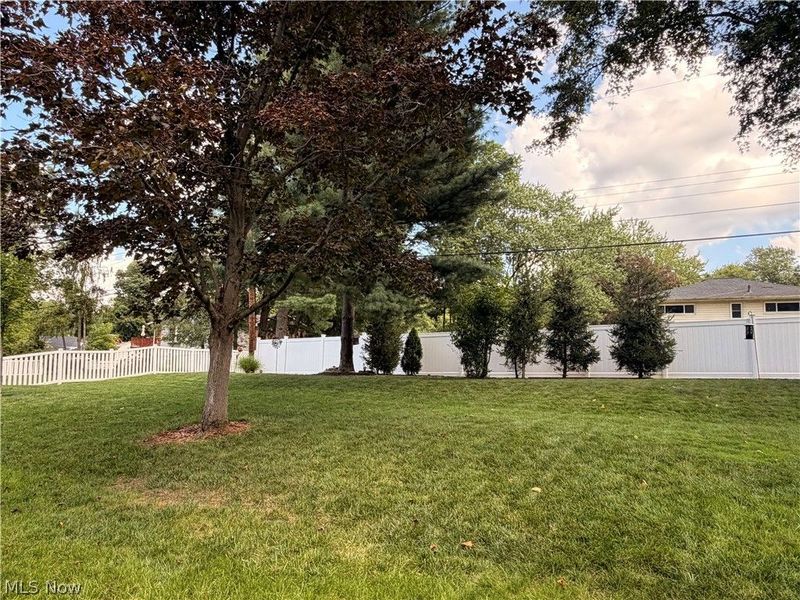 3857 Silver Wood Drive, Stow, OH 44224 Photo 45