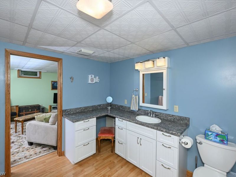 435 Brenelle Lane, Medina, OH 44256 Photo 39