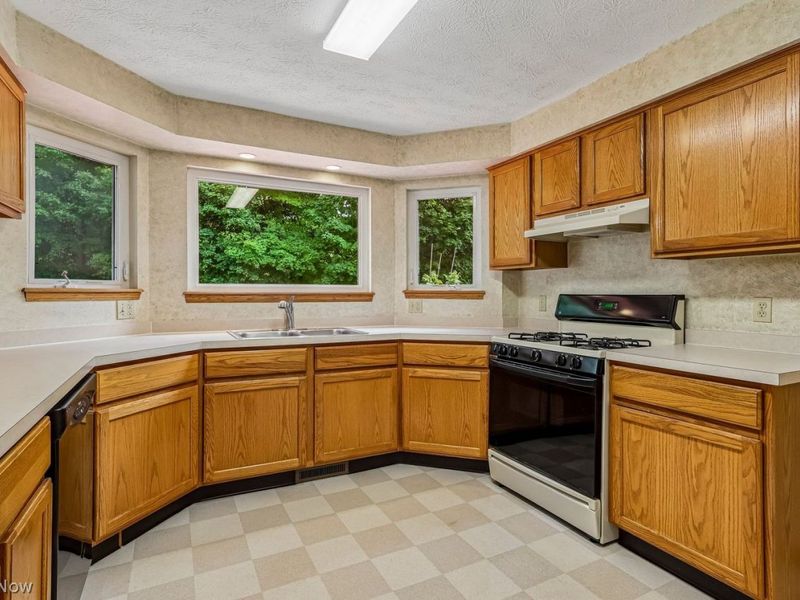 4652 Squire Drive, Sagamore Hills, OH 44067 Photo 18