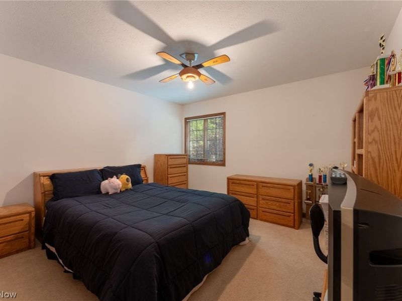 107 Amberwood Court, Boardman, OH 44512 Photo 30