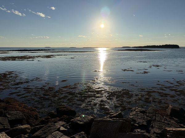 463 Black Duck Cove Road , Beals, ME 04611