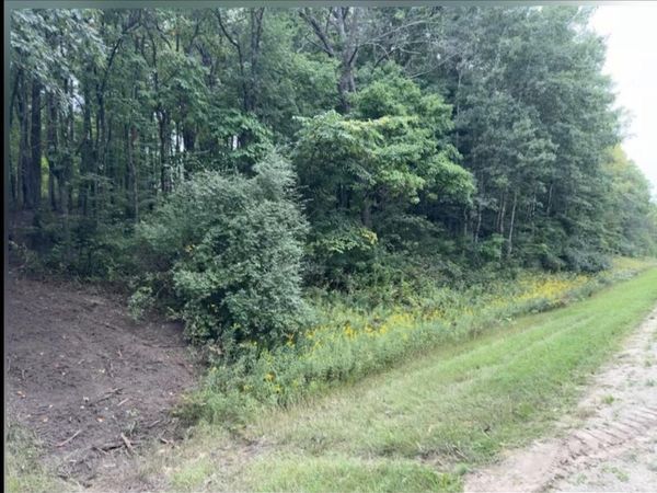 V/L E 88th Street, Howard City, MI 49329
