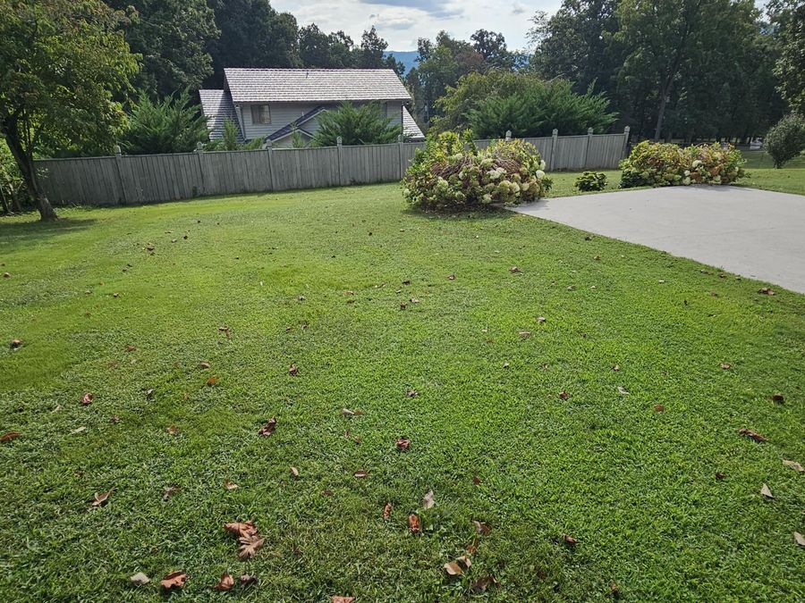 Property Image 25