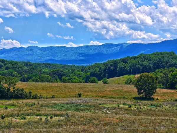 251 Cloud Way , Parrottsville, TN 37843