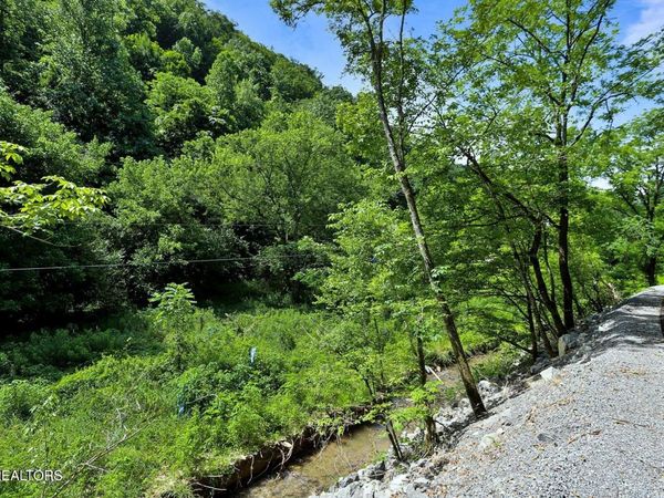 0 Caney Creek Rd , Pigeon Forge, TN 37863