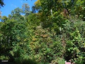 0 Off Hidden Valley, Lot #11, Gatlinburg, TN 37738 Main Photo