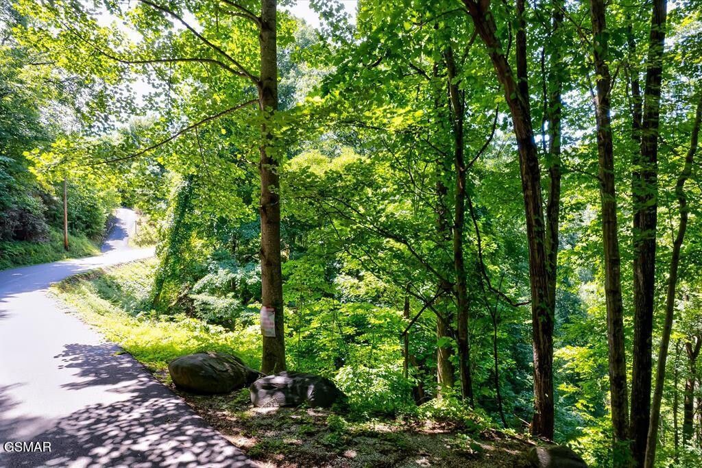 0 Ski Mtn, Lot #3, Gatlinburg, TN 37738 Main Photo