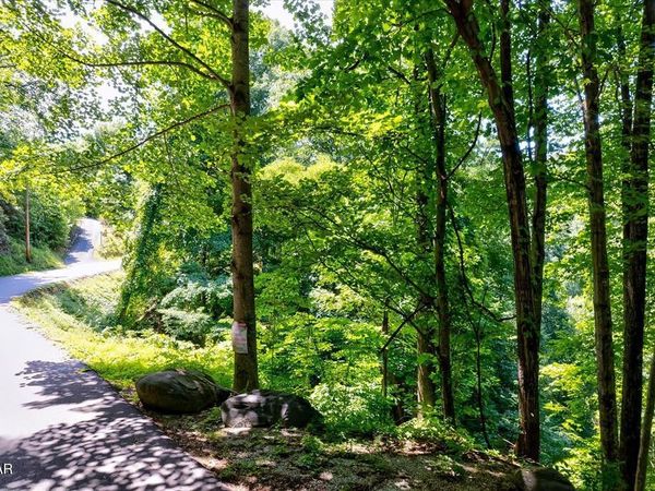 0 ski mtn, Unit 3, Gatlinburg, TN 37738
