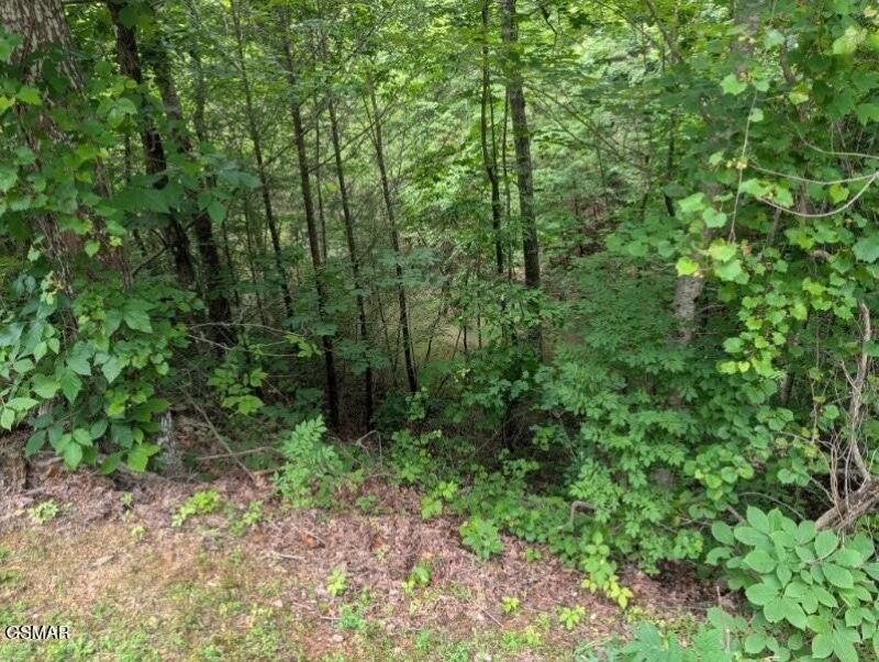 934 Ski Moutain Rd, Lot #9, Gatlinburg, TN 37738 Main Photo