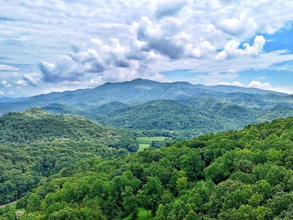 50 S Highway 340 , Parrottsville, TN 37843