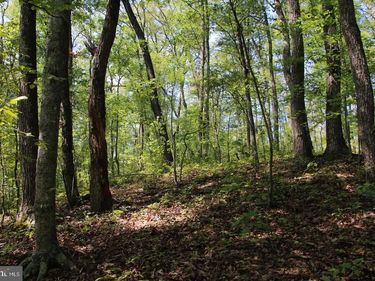 JEANS MEADOW LANE , GORE, VA 22637