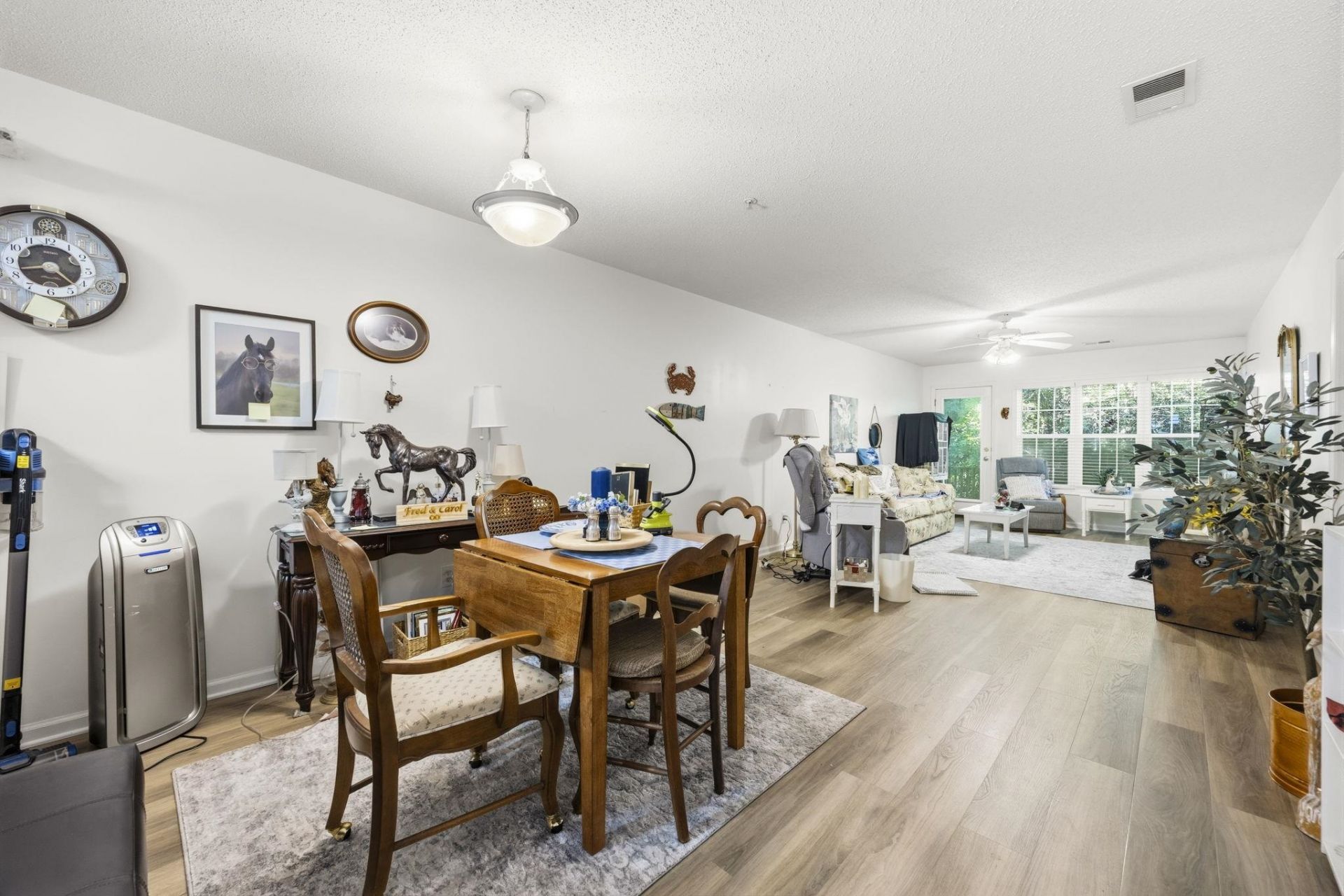 217 Egret Run Ln. Photo 10