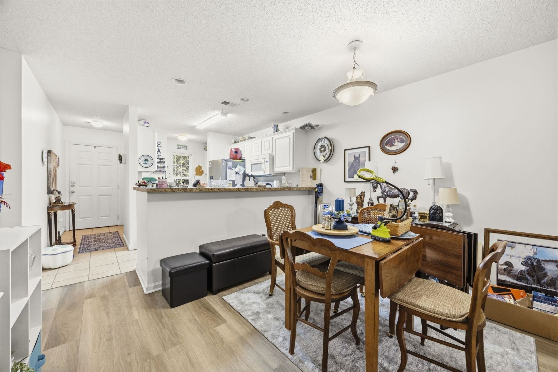 217 Egret Run Ln. Photo 11
