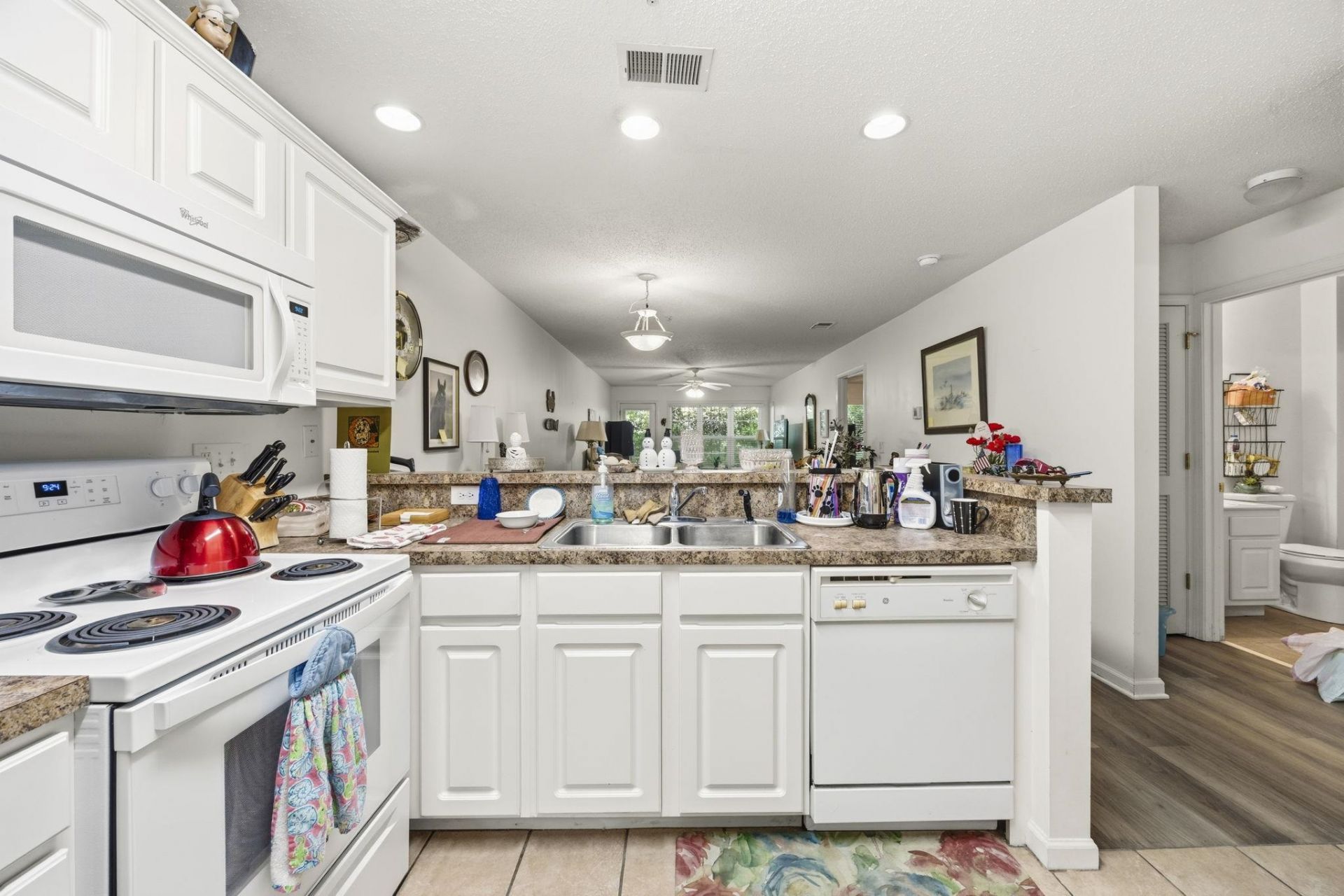 217 Egret Run Ln. Photo 13