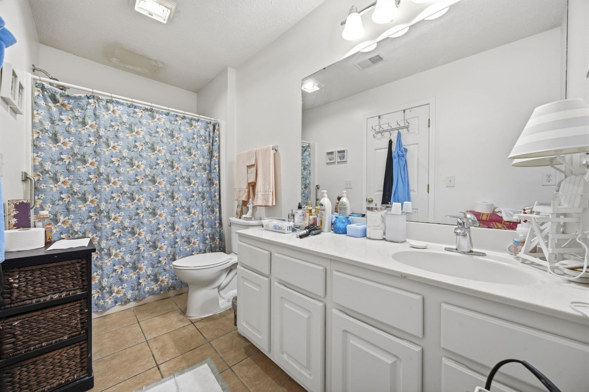 217 Egret Run Ln. Photo 18