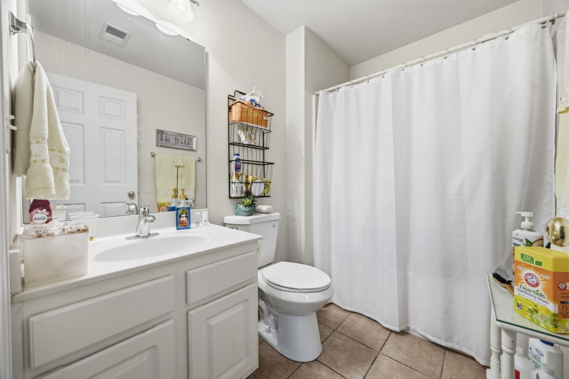217 Egret Run Ln. Photo 20