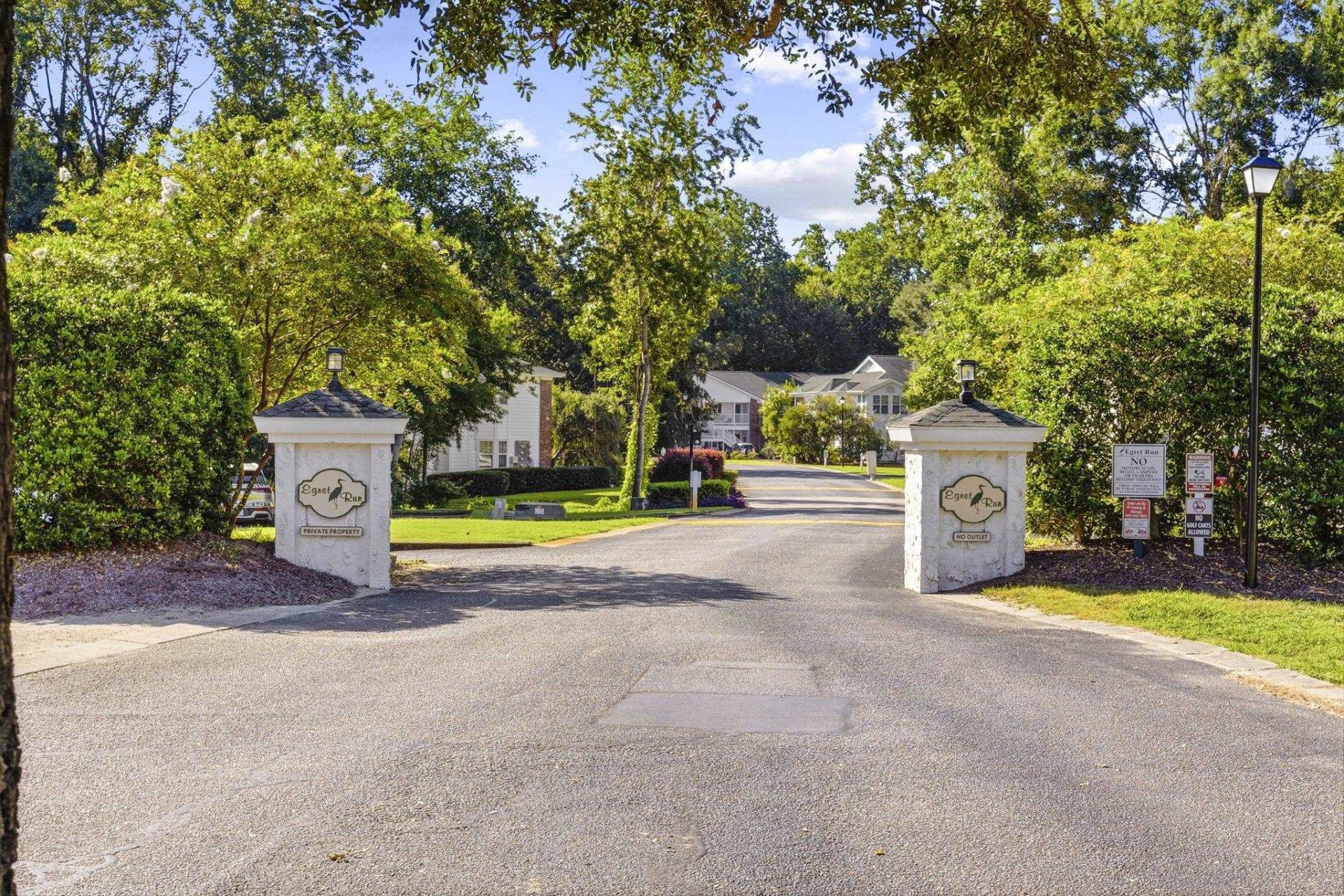217 Egret Run Ln. Photo 28