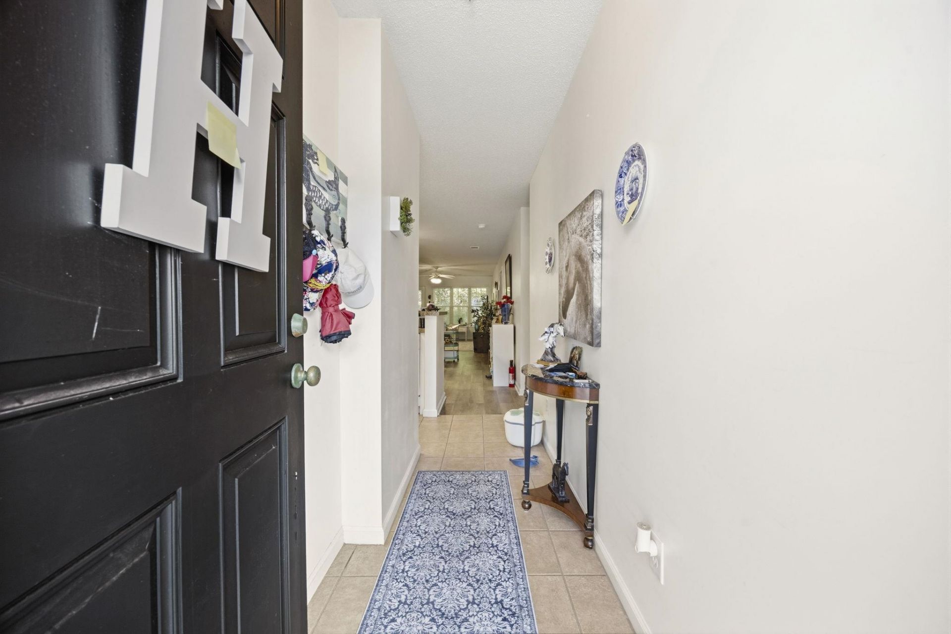 217 Egret Run Ln. Photo 4