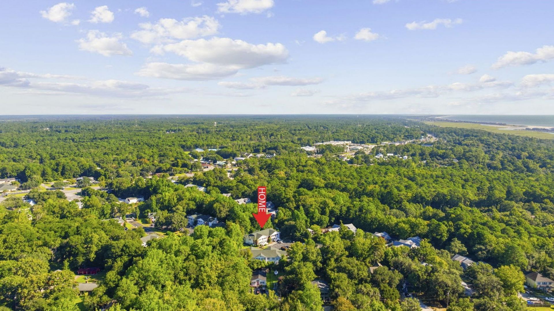217 Egret Run Ln. Photo 40