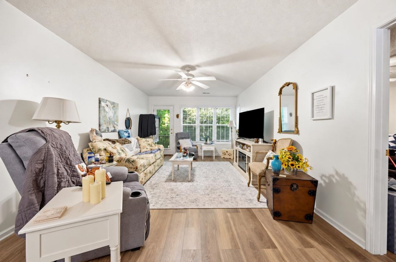 217 Egret Run Ln. Photo 6
