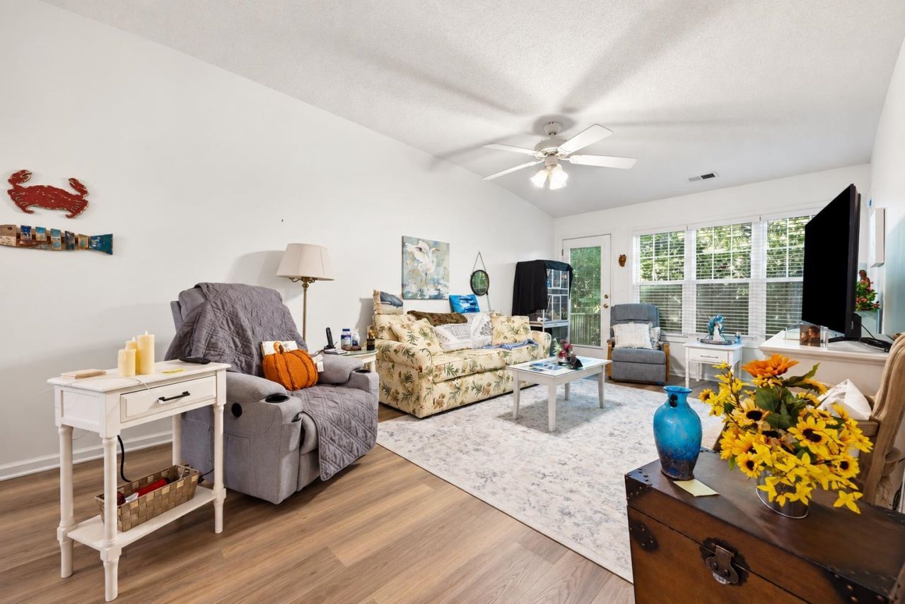 217 Egret Run Ln. Photo 7