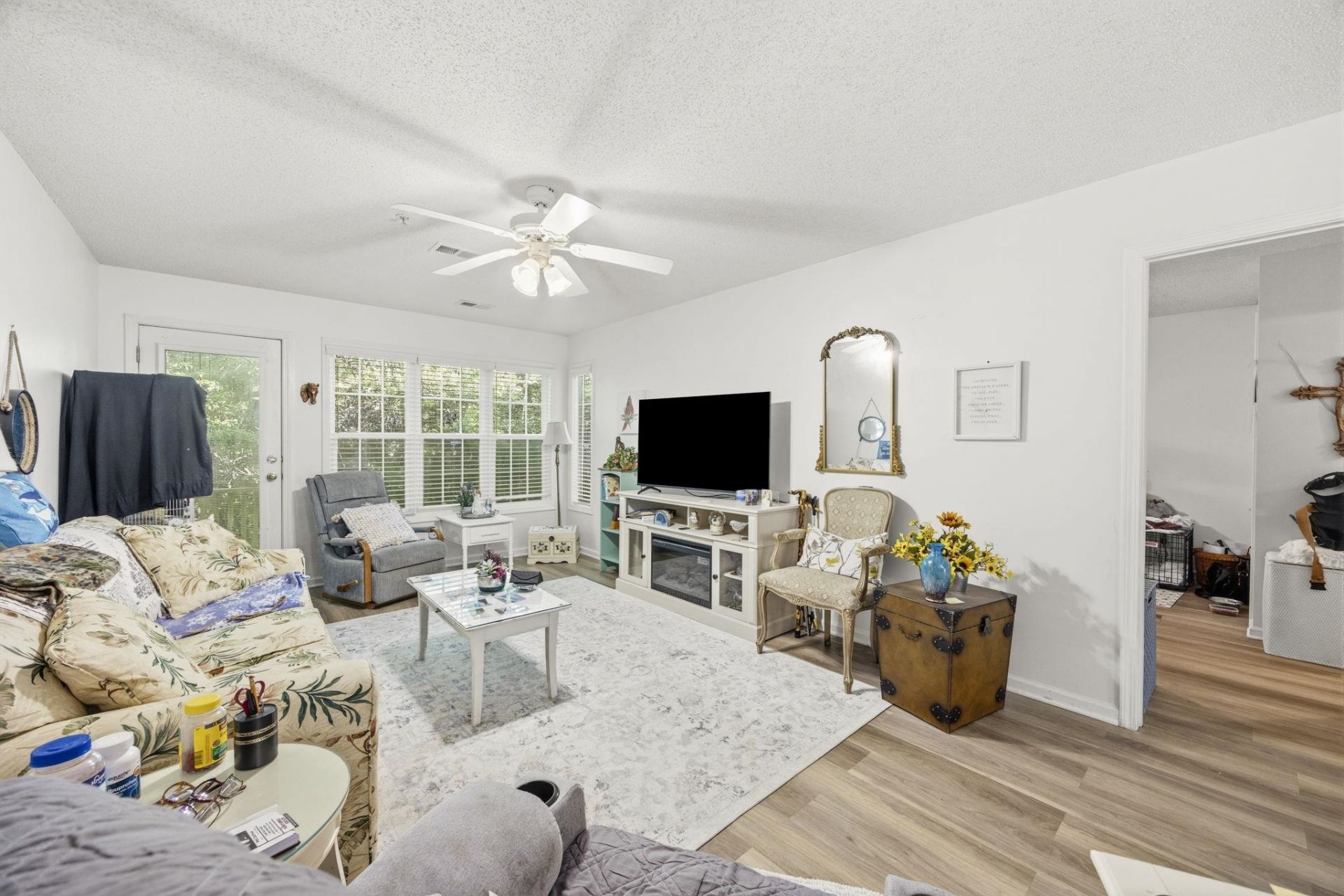 217 Egret Run Ln. Photo 8
