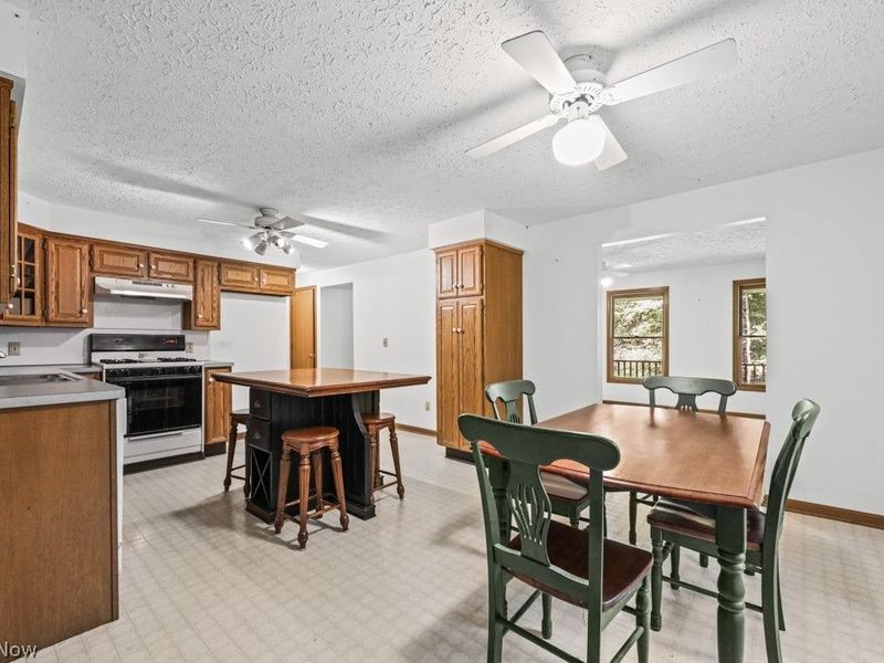 10175 Johnson Road, North Benton, OH 44449 Photo 15