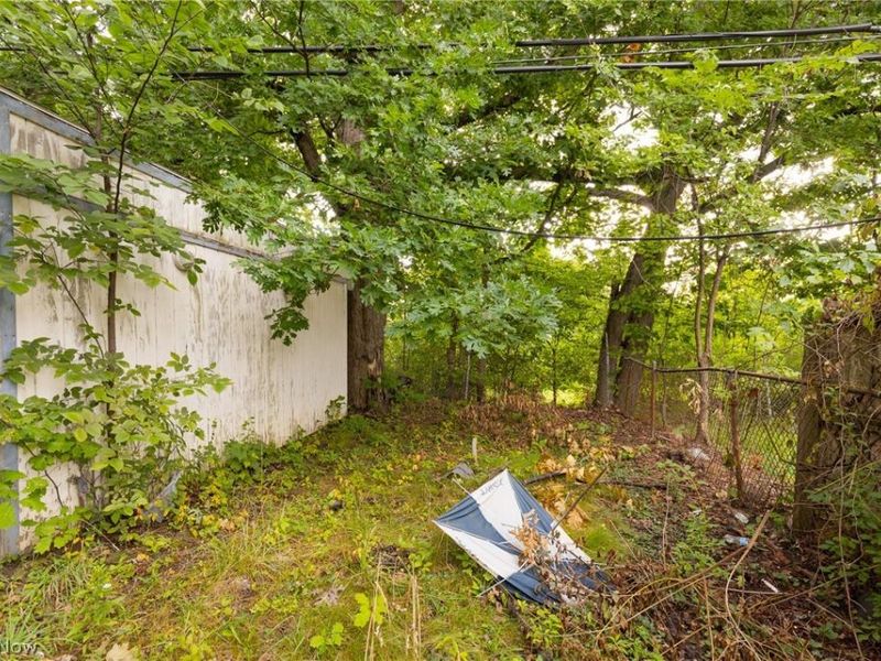 1069 Carlyon Road, East Cleveland, OH 44112 Photo 29