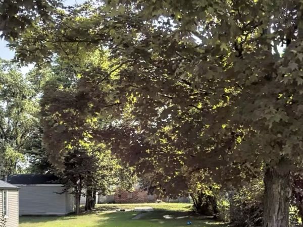2821 Collier Street, Indianapolis, IN 46241