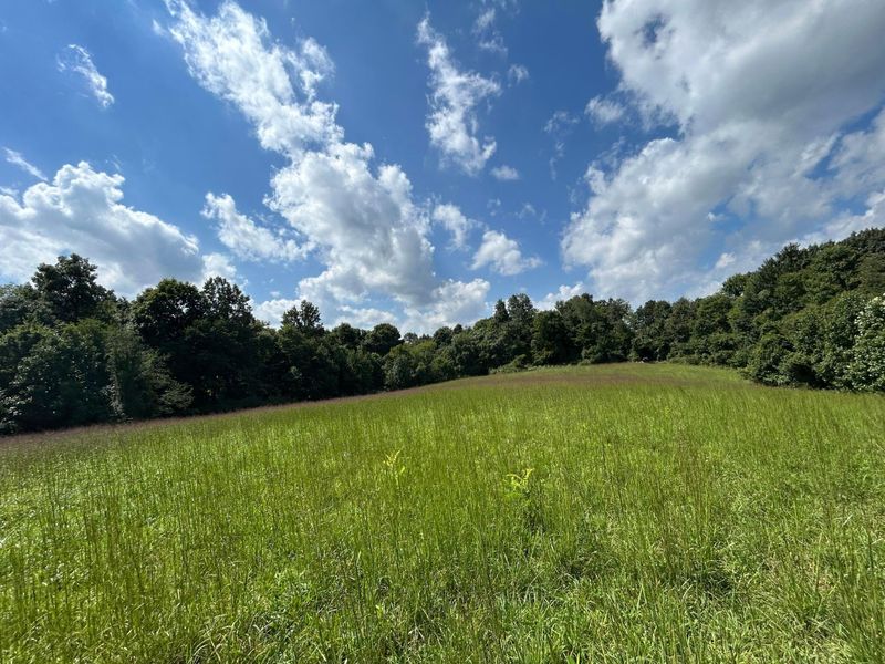 5198 Mckinney Crossing Road NE, Newark, OH 43055 Photo 15