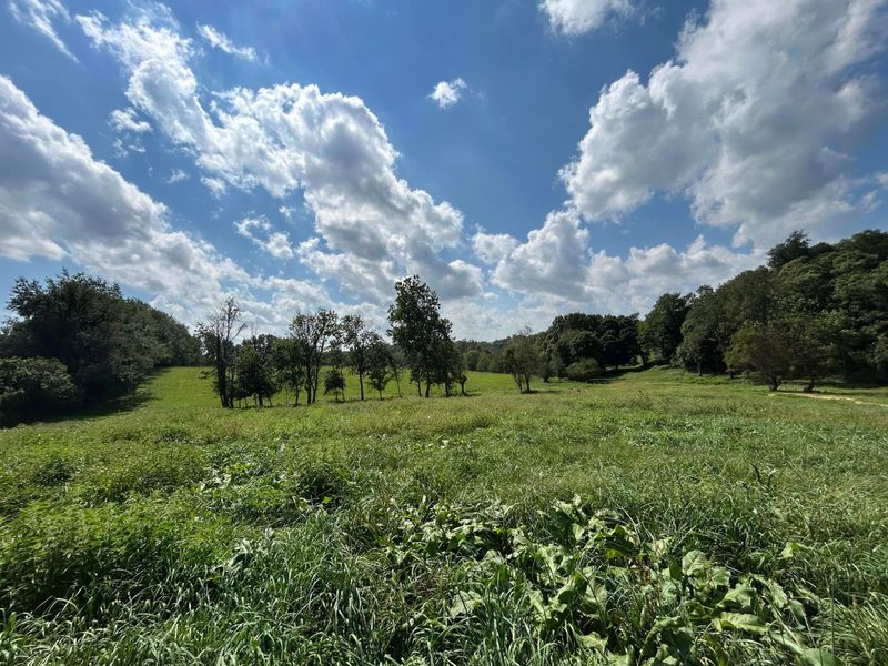 5198 Mckinney Crossing Road NE, Newark, OH 43055 Photo 24