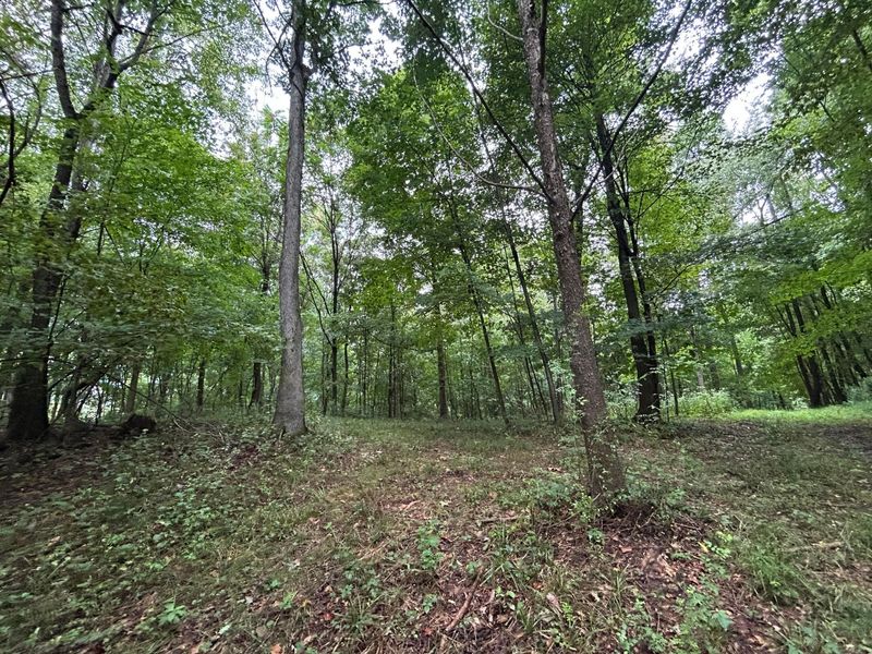 5198 Mckinney Crossing Road NE, Newark, OH 43055 Photo 33