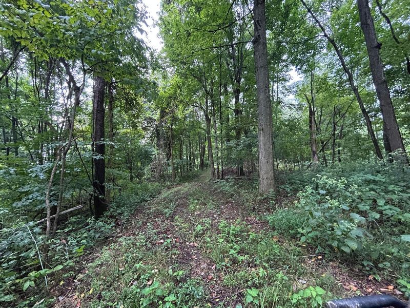 5198 Mckinney Crossing Road NE, Newark, OH 43055 Photo 34