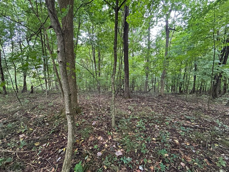 5198 Mckinney Crossing Road NE, Newark, OH 43055 Photo 44