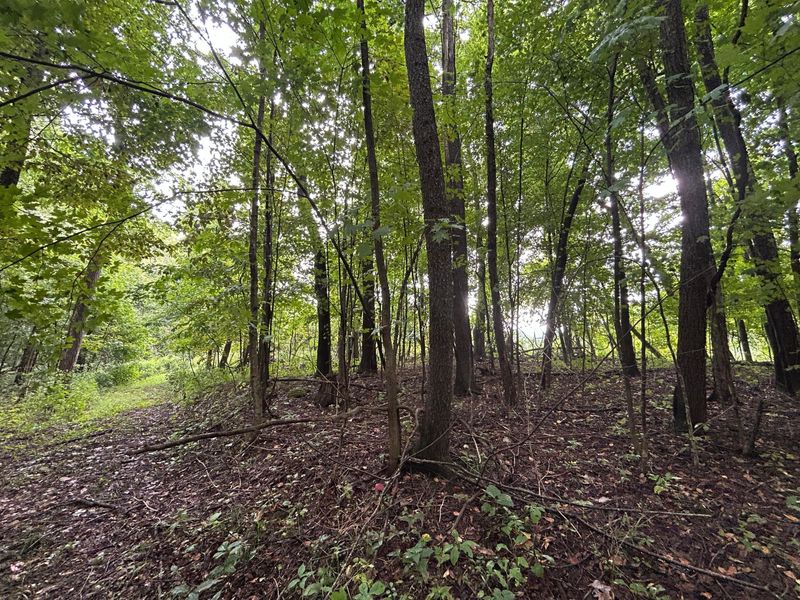 5198 Mckinney Crossing Road NE, Newark, OH 43055 Photo 46