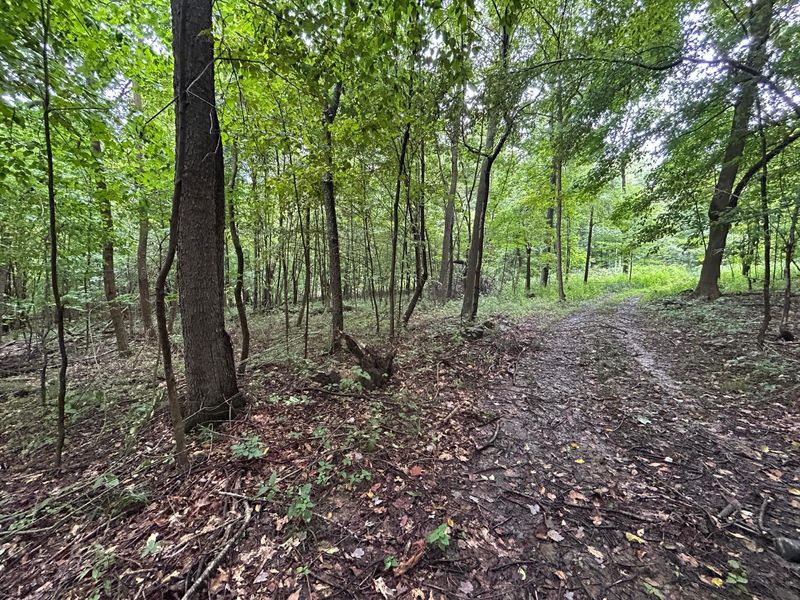 5198 Mckinney Crossing Road NE, Newark, OH 43055 Photo 55