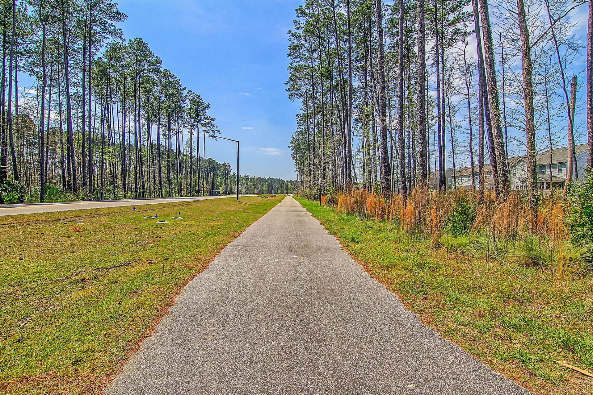 250 Surfbird Road Photo 49