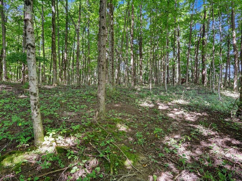 7090 Nichols Lane, Johnstown, OH 43031 Photo 8