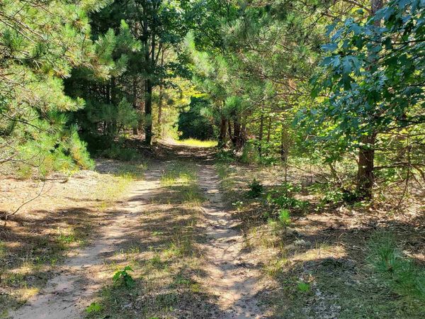 Marilla Road, Copemish, MI 49625