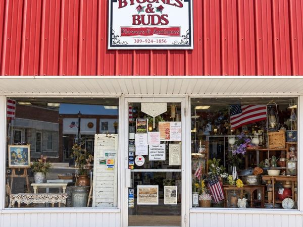 115 & 117 S BROADWAY Street, Stronghurst, IL 61480