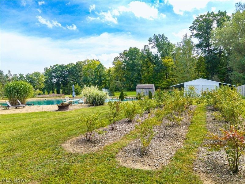 7996 Buffham Road, Lodi, OH 44254 Photo 8