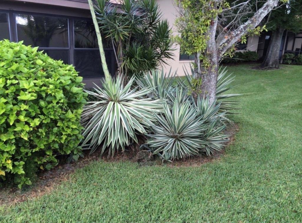 1693 Nash Court, Dunedin, FL 34698 Photo