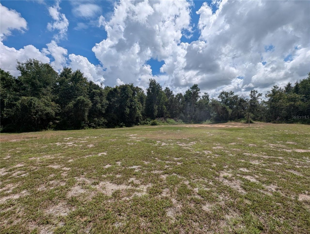 3002 Turnbull Bay Road, New Smyrna Beach, FL 32168 Photo