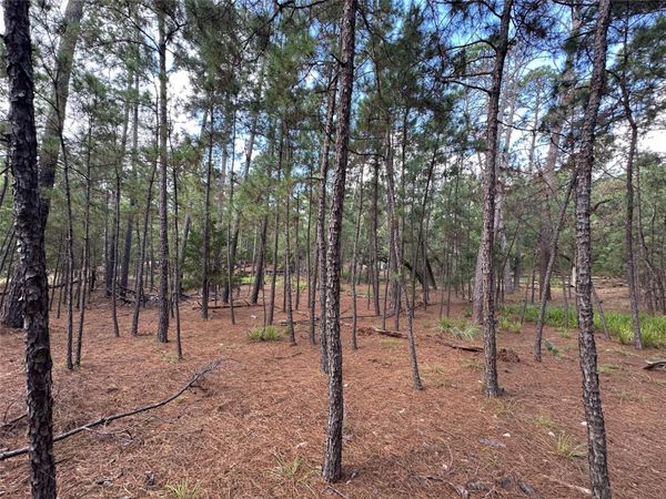 TBD Otto Lane & Red Fox RD, La Grange, TX 78945